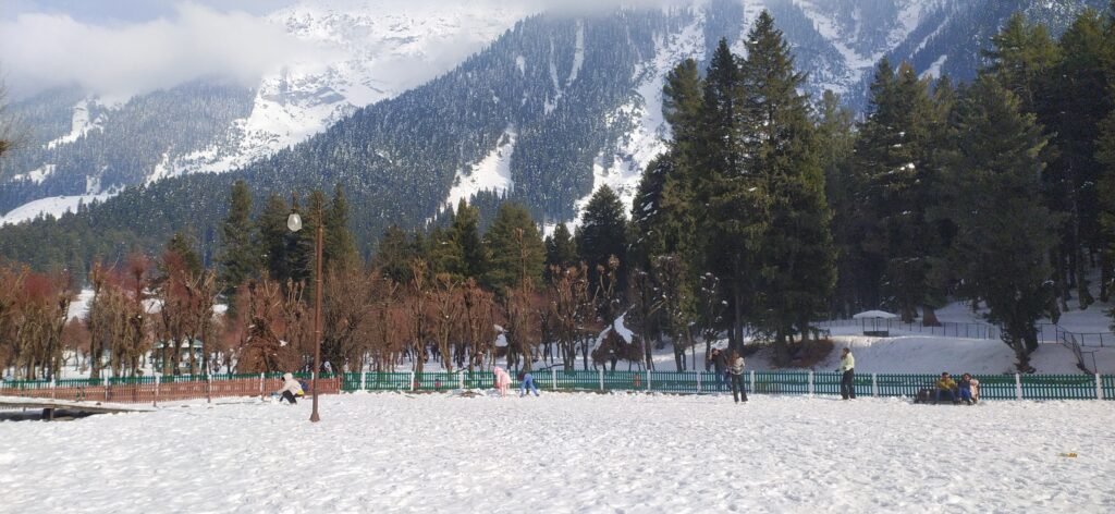 Kashmir in February