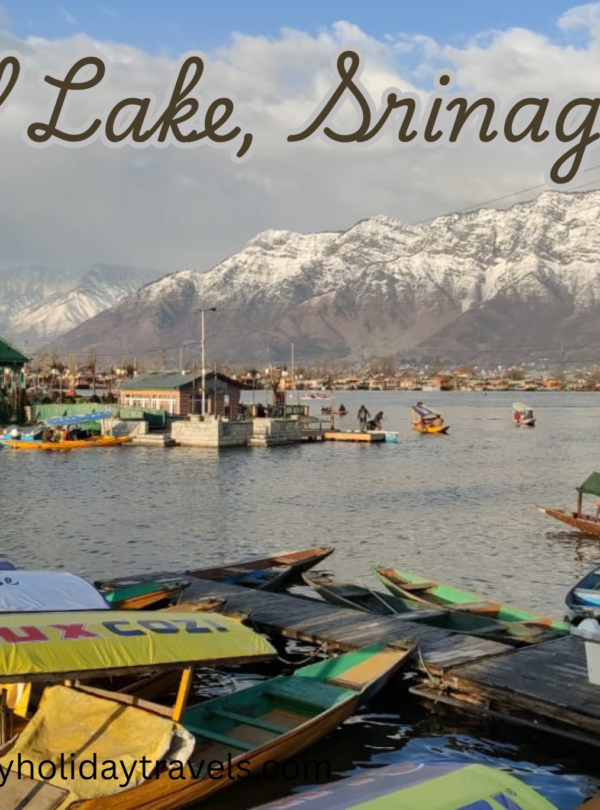 Dal Lake Srinagar