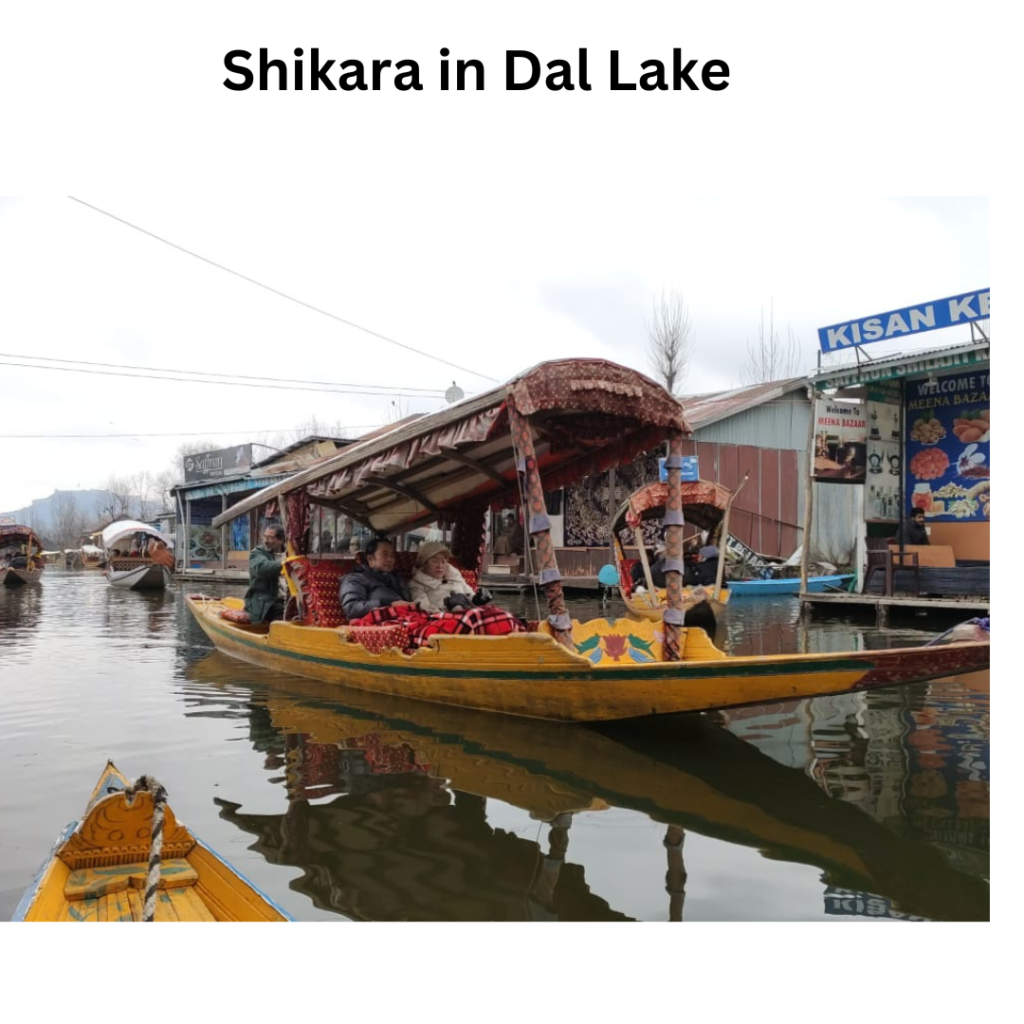 Shikara Ride Dal Lake Srinagar