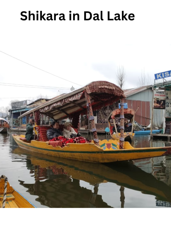 Shikara Ride Dal Lake Srinagar